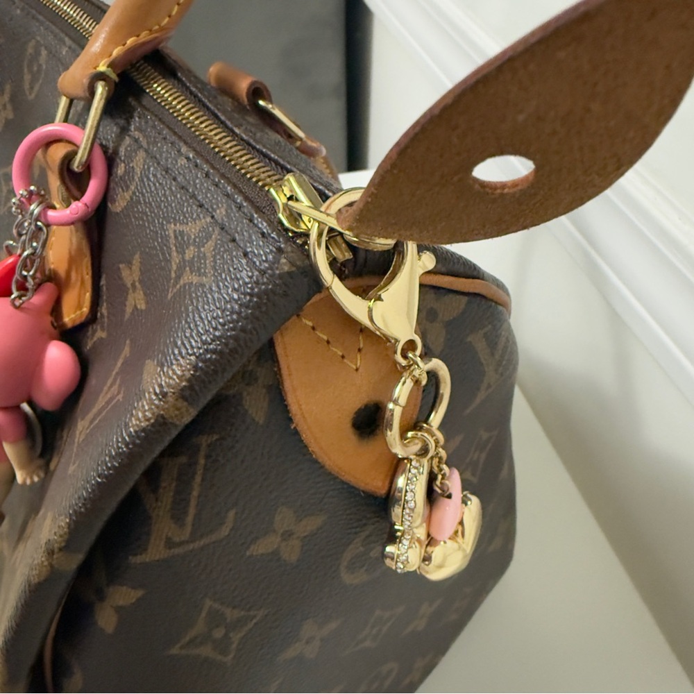 Louis Vuitton Speedy 30 Handbag - Picture 5 of 14